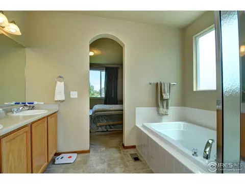 529 Botley Ct, Windsor, CO 80550 photo 11
