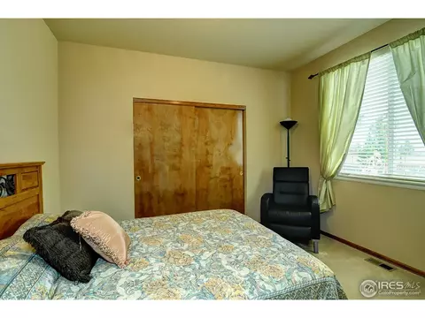 529 Botley Ct, Windsor, CO 80550 photo 15