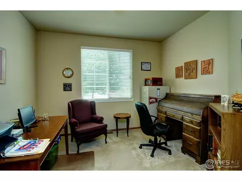 529 Botley Ct, Windsor, CO 80550 photo 17