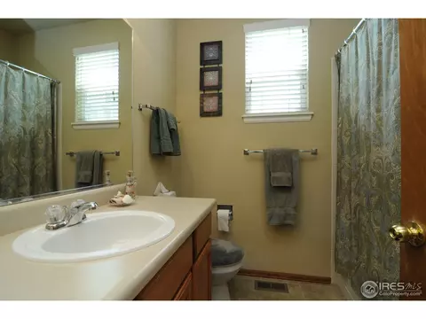 529 Botley Ct, Windsor, CO 80550 photo 16