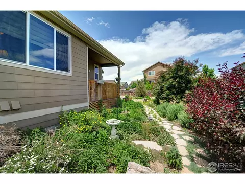 529 Botley Ct, Windsor, CO 80550 photo 21