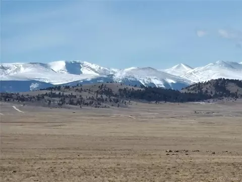 809 Rocky Mountain Rd, Hartsel, CO 80449