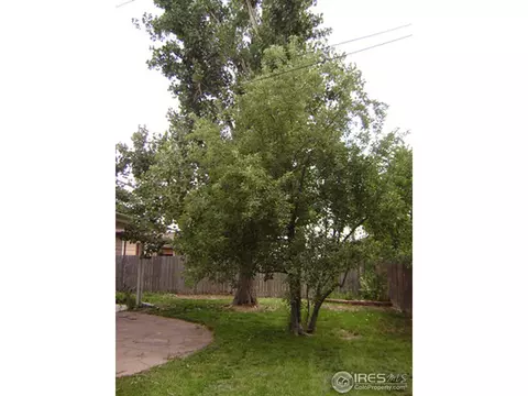 3033 High Dr, Evans, CO 80620 photo 19