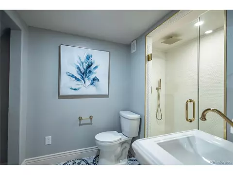 210 Ivanhoe St, Denver, CO 80220 photo 40