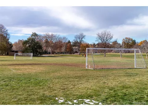 210 Ivanhoe St, Denver, CO 80220 photo 50