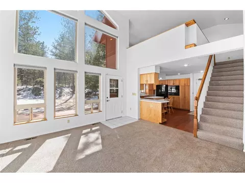 Living - 20202 Spring Creek Trl, Pine, CO 80470 photo 6 of 9
