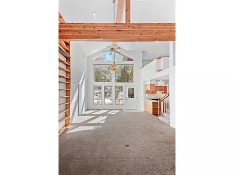 Living - 20202 Spring Creek Trl, Pine, CO 80470 photo 3 of 8