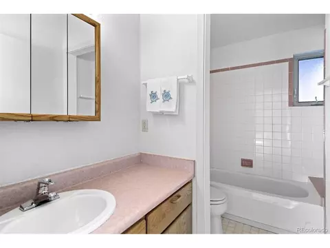 Bath - 20202 Spring Creek Trl, Pine, CO 80470 photo 3 of 4