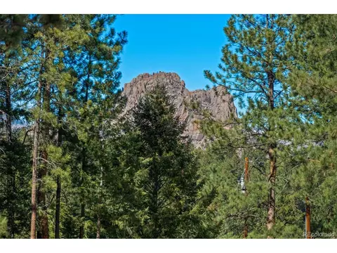 Other - 20202 Spring Creek Trl, Pine, CO 80470 photo 3 of 15