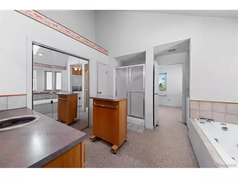 Bath - 20202 Spring Creek Trl, Pine, CO 80470 photo 1 of 4