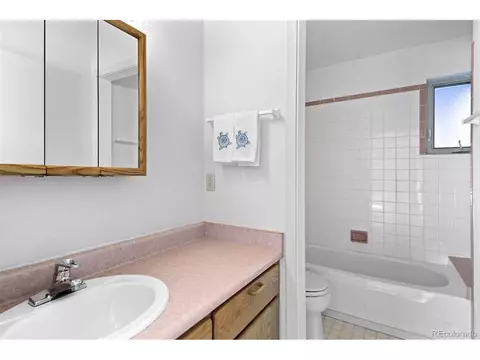 Bath - 20202 Spring Creek Trl, Pine, CO 80470 photo 3 of 4