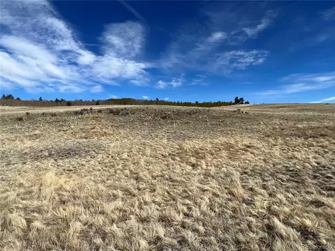 164 Jims Way, Como, CO 80432 photo 23
