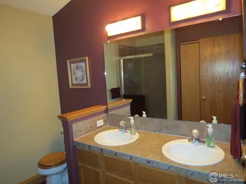 250 Rochester Dr, Windsor, CO 80550 photo 6