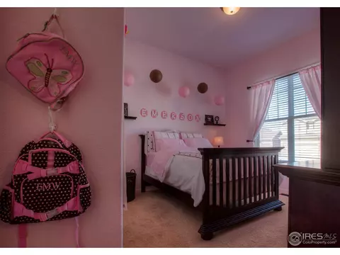 101 Kitty Hawk Dr, Windsor, CO 80550 photo 17