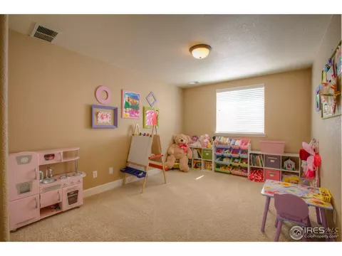101 Kitty Hawk Dr, Windsor, CO 80550 photo 22