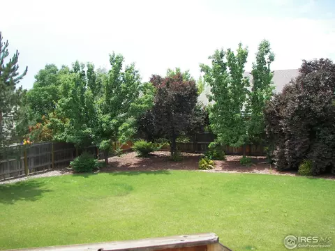 2374 E 116th Way, Thornton, CO 80233 photo 17