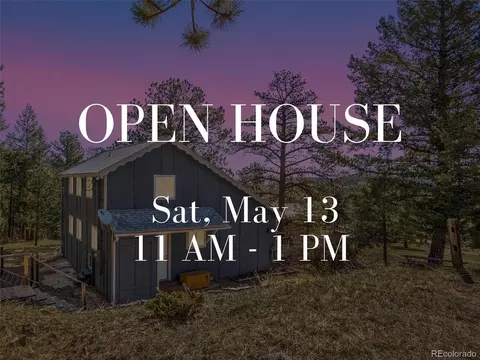 540 Chickadee Ln, Bailey, CO 80421 photo 1