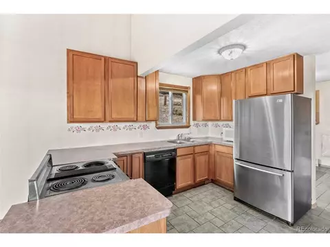 540 Chickadee Ln, Bailey, CO 80421 photo 18