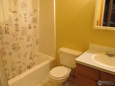417 Lakeview Dr, Severance, CO 80550 photo 11