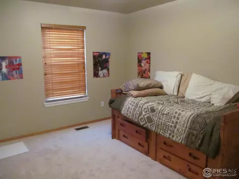 417 Lakeview Dr, Severance, CO 80550 photo 8