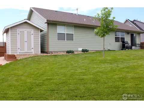 504 Limber Pine Ct, Severance, CO 80550 photo 4
