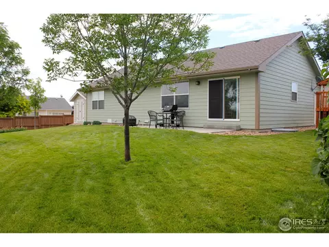 504 Limber Pine Ct, Severance, CO 80550 photo 3