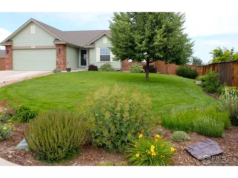504 Limber Pine Ct, Severance, CO 80550 photo 1
