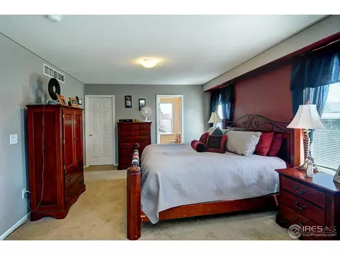 452 Hedgerow Way, Brighton, CO 80601 photo 12