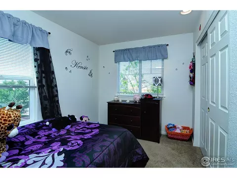 452 Hedgerow Way, Brighton, CO 80601 photo 17
