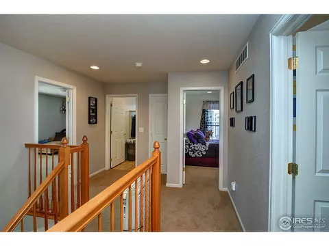 452 Hedgerow Way, Brighton, CO 80601 photo 19