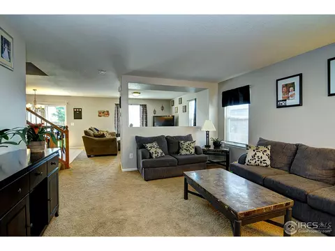 452 Hedgerow Way, Brighton, CO 80601 photo 6