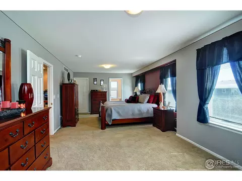 452 Hedgerow Way, Brighton, CO 80601 photo 14