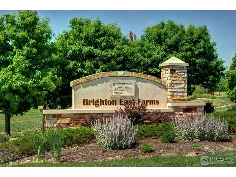 452 Hedgerow Way, Brighton, CO 80601 photo 4