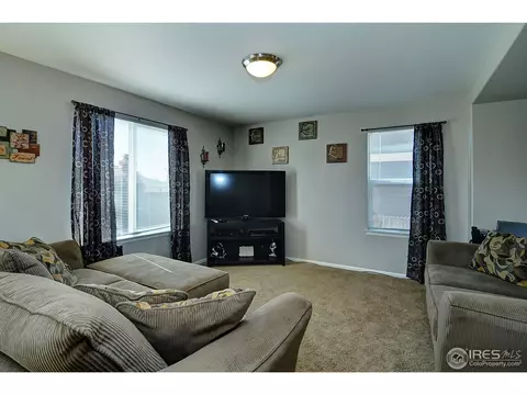 452 Hedgerow Way, Brighton, CO 80601 photo 10