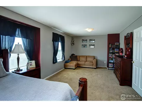 452 Hedgerow Way, Brighton, CO 80601 photo 13