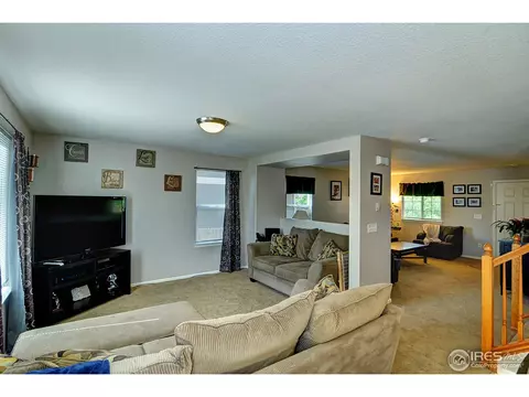 452 Hedgerow Way, Brighton, CO 80601 photo 11