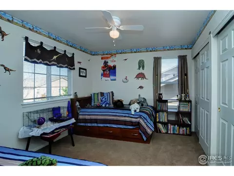 452 Hedgerow Way, Brighton, CO 80601 photo 16