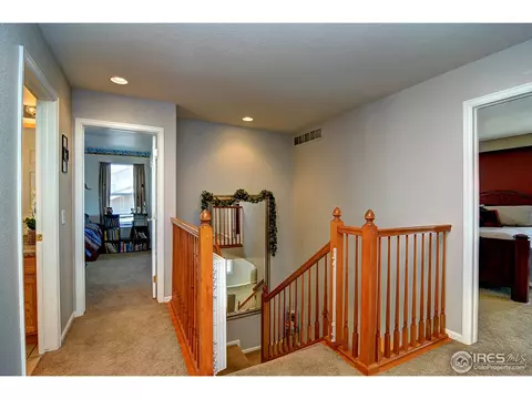 452 Hedgerow Way, Brighton, CO 80601 photo 18
