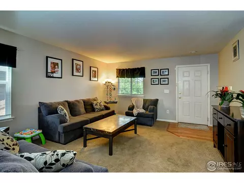 452 Hedgerow Way, Brighton, CO 80601 photo 5