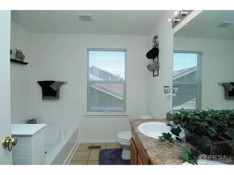 452 Hedgerow Way, Brighton, CO 80601 photo 15