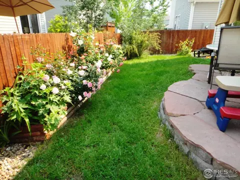 11787 W Tufts Pl, Morrison, CO 80465 photo 5