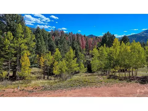136 Gold Crown Cir, Cripple Creek, CO 80813