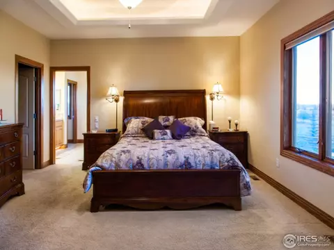 5212 Shavano Ct, Windsor, CO 80550 photo 14