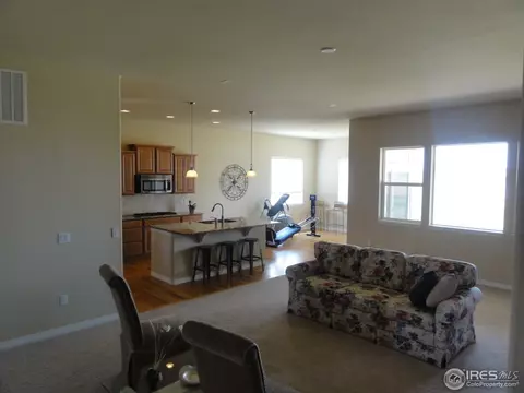 16012 Olive St, Brighton, CO 80602 photo 10