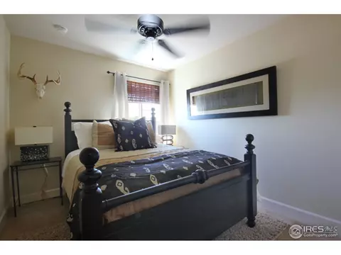 806 Cameron Dr, Severance, CO 80550 photo 12