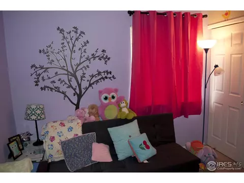 4168 E 94th Pl, Thornton, CO 80229 photo 11