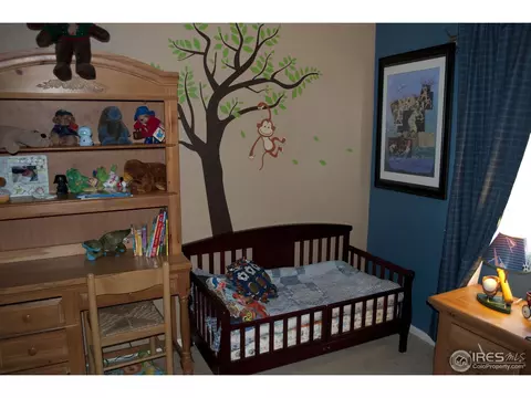 4168 E 94th Pl, Thornton, CO 80229 photo 13