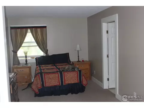 718 Walnut St, Windsor, CO 80550 photo 10