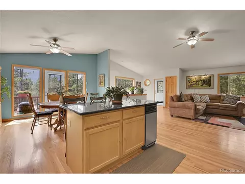 680 Gunsmoke Dr, Bailey, CO 80421 photo 8