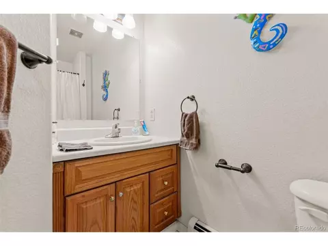 Bath - 211 Appleby St, Bailey, CO 80421 photo 6 of 6